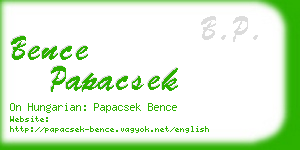 bence papacsek business card